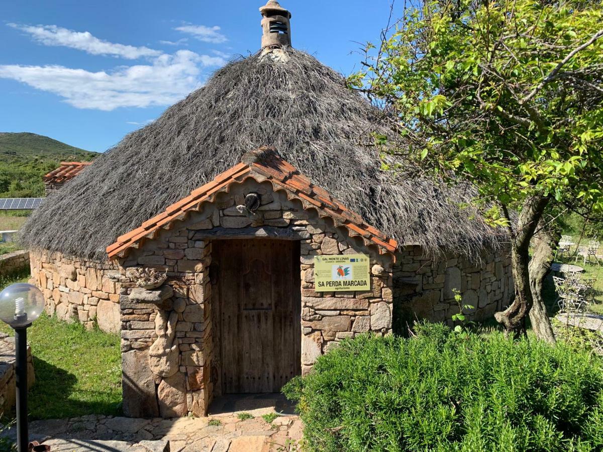 Agriturismo Sa Perda Marcada Arbus Dış mekan fotoğraf